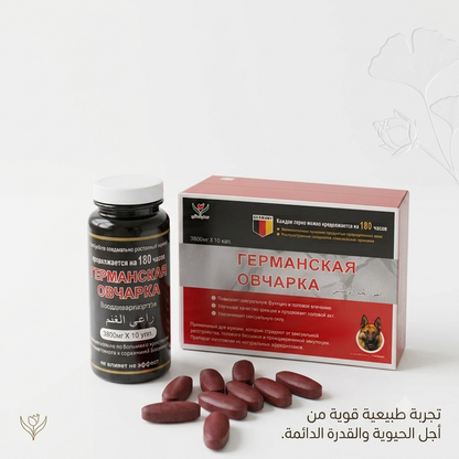 German Shepherd Capsules 1
