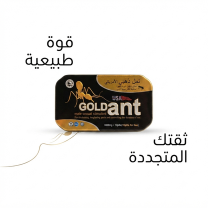 Gold Ant 1